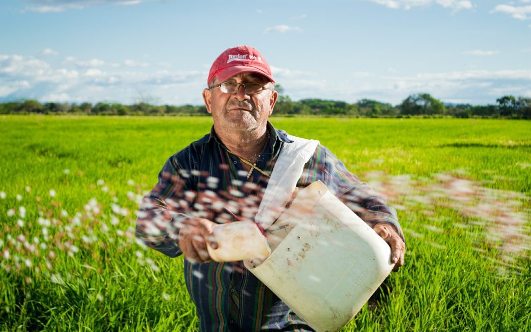 CCLP files comment on overtime protections for farmworkers in Colorado