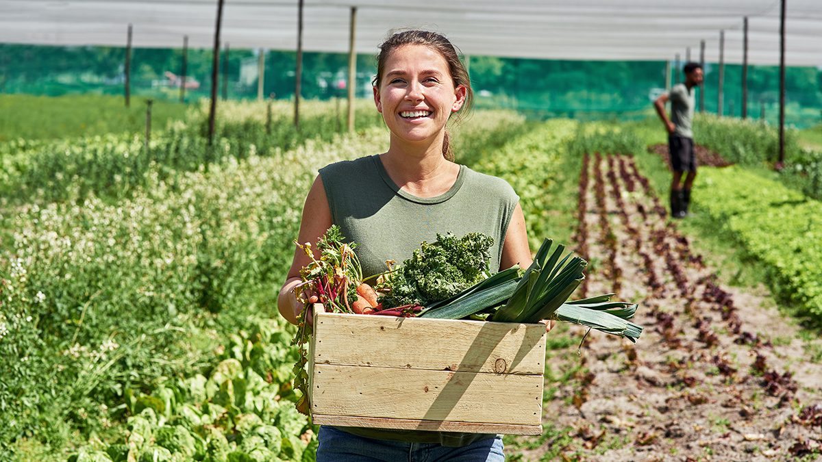 Portrait of an attractive young woman carrying a crate full of vegetables outdoors on a farm.