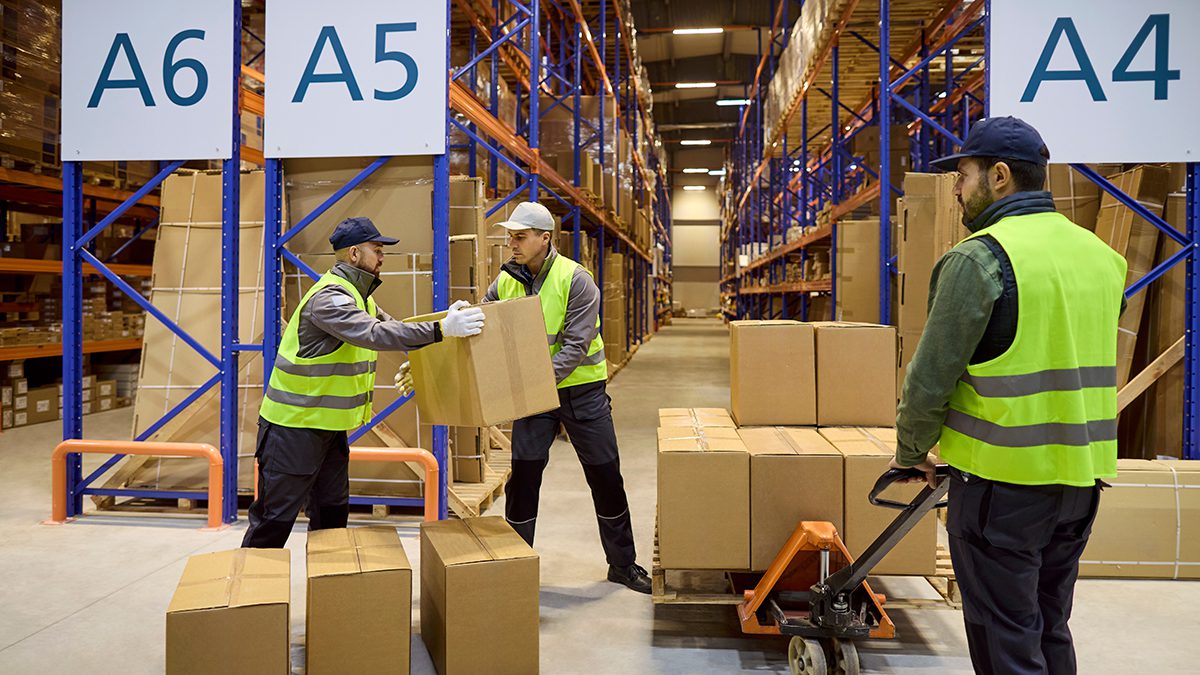 Warehouse workers move boxes on pallet trolley. Tall shelving and aisles show efficient logistics and storage for delivery and shipping. Teamwork drives efficient warehouse operations today.